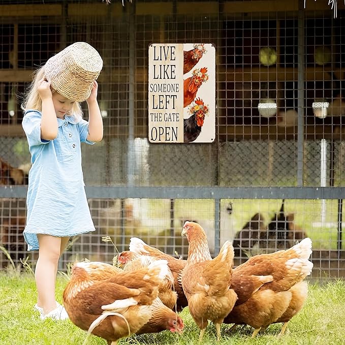 Chicken Coop Sign, Funny Chicken Coop Metal Signs, Outdoor Chicken Decor, Personalized Tin Sign, Chicken Gifts, Chicken House Decor 8 x12 Inches