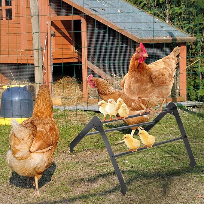 Adjustable Chicken Perch for Coop - Metal Chicken Roosting Bars for Hens, Chicks & Pullets - Heavy Duty Brooder Roost Set (Black) - Fits All Chicken Coops & Farms