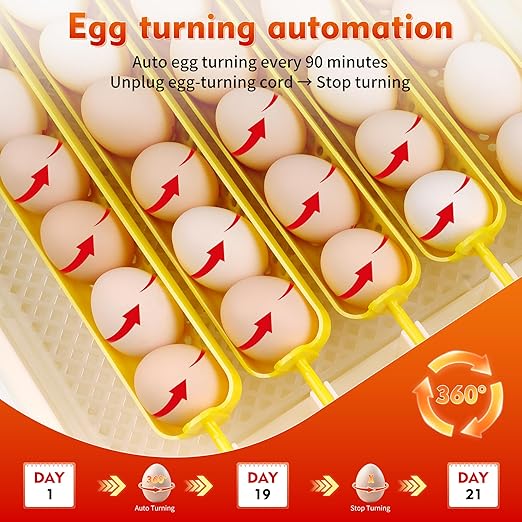 Incubators for Hatching Egg 30 Eggs Automatic Egg Turning & Humidity Control Egg Candler, Digital Temperature Display, Humidity Control&Alarm, Auto Water Chicken Quail Hatcher 110V/12V Dual Power