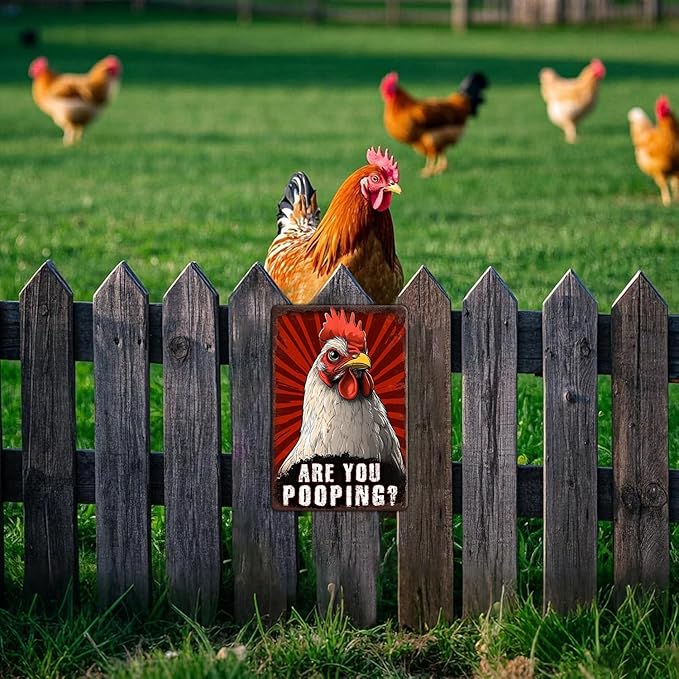 Funny Chicken Signs Chicken Humor Are You Pooping Aluminium Sign Metal Chicken Signs Decor Home Ktichen Farm Are Wall 12x8 Inch Vintage Chicken Signs For Coop Metal Tin Signs Poster