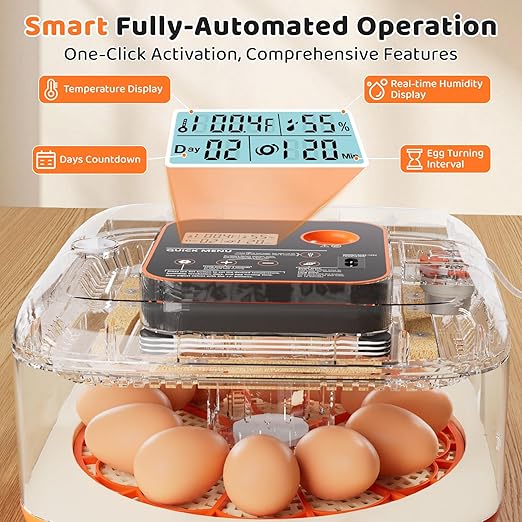 Incubators for Hatching Eggs 12 Egg Digital Egg Incubator Precision Auto Temp Humidity Control 6 Gear Adjustable Auto Turner Auto Stop Turning Hatching Days Display for Chicken Duck Goose Eggs