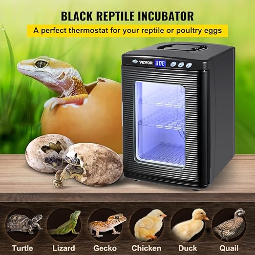Happybuy Black Reptile Incubator 25L Scientific Lab Incubator Digital Incubator Cooling and Heating 5-42°C Reptile Egg Incubator 12V/110V Work for Small Reptiles