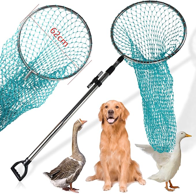 Dog Catch Net Animal Control Net Poultry Catching Trap Tool Length Adjustable for Cat, Pigeon and Others (42~70" Handle with 24.4" Net Opening) (Stainless Steel, Natural - Large)