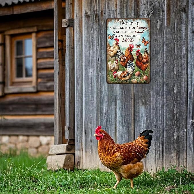 Chicken Metal Sign Chicken Wall Decor This Is Us Wall Decor A Little Bit Of Crazy A Little Bit Loud Chicken Coop Sign Farm Home Garden Yard Poster 12x8 Inch