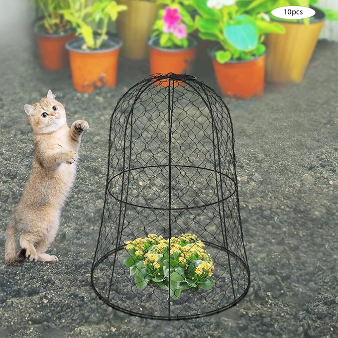 YIYIBYUS Garden Chicken Wire Cloche, 12.99" Diameter x 15.75" Height Plant Protective Covers Metal Cage Plant Protector Cover for Gardens, Parks, Yards, Balconies, Farms (10pcs, Black)