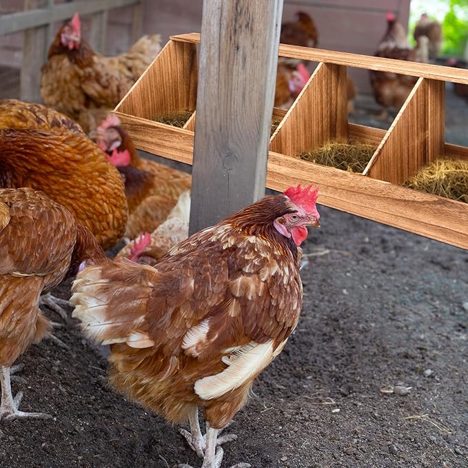 Chicken Nesting Boxes, Chicken Laying Boxes Coop Accessories Roosting Laying with Liners Large Bedding for Hens Birds Duck Coop Poultry Habitat Supplies(4 Compartment)