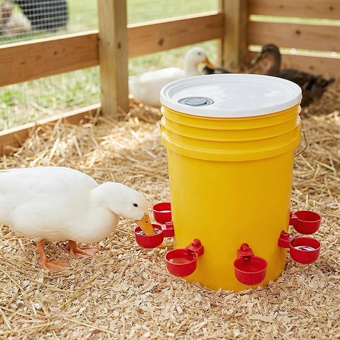 Cedilis 30 Pack Chicken Water Cup, Automatic Drinking Cups for Chickens, 3/8 Inch Thread Poultry Water Cups, Chicken Watering Feeder Cups for Chicken Duck Birds Turkey Rabbit