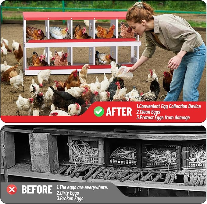 Chicken Nesting Boxes, 10-Compartment Metal Egg Laying Box with Swing Perch and Secure Lid – Versatile Wall Mount or Free Standing Suitable for Various Chicken Breeds -red