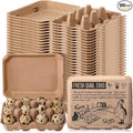 Honeydak 100 Pack Quail Egg Cartons 12 Count Paper Pulp Egg Trays with Buckle 3x4 Style Reusable Stackable Holders Container Storage Box for Farmers Kitchen Supermarkets Home, 8.27x5.51x1.57 in