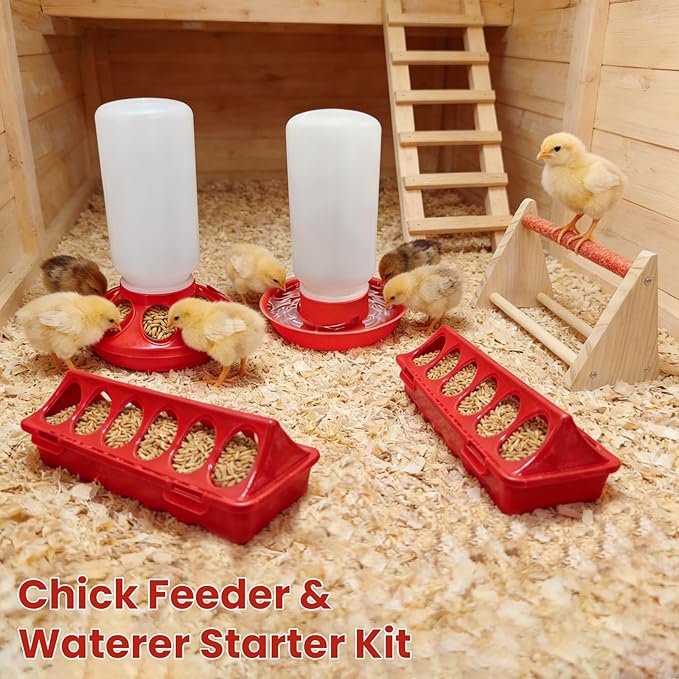 Chick Feeder & Waterer Starter Kit with 2 Trough Feeders and Roost Bar – No-Leak Baby Chick Waterer and Feeders Set for Chicks, Ducklings, Quail & Small Poultry – Essential Brooder Supplies