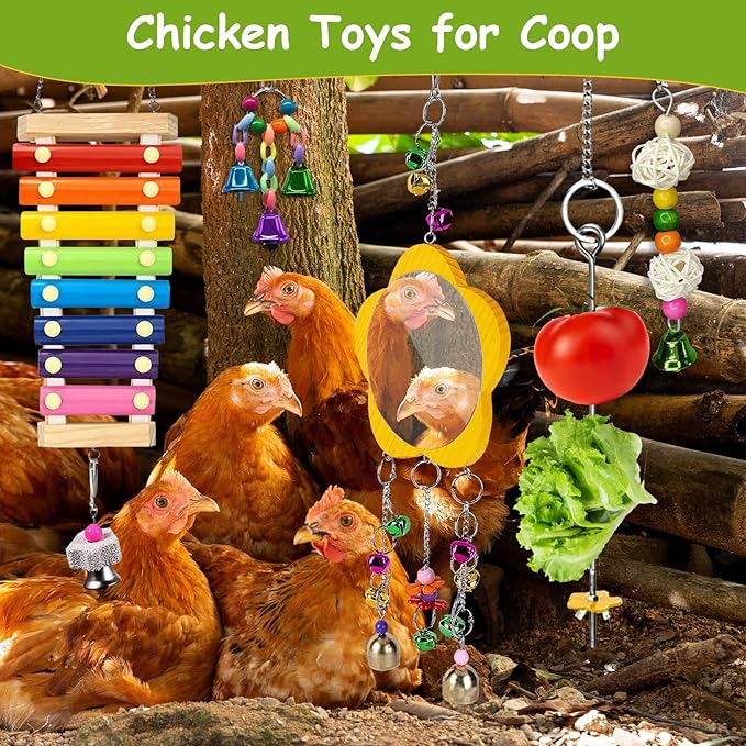 BNOSDM 5 Packs Chicken Xylophone Toy for Hens Chicken Mirror Toy with Bell Chicken Coop Toys and Accessories Veggies Skewer Fruit Holder Vegetable Hanging Feeder for Chicks Hens Roosters