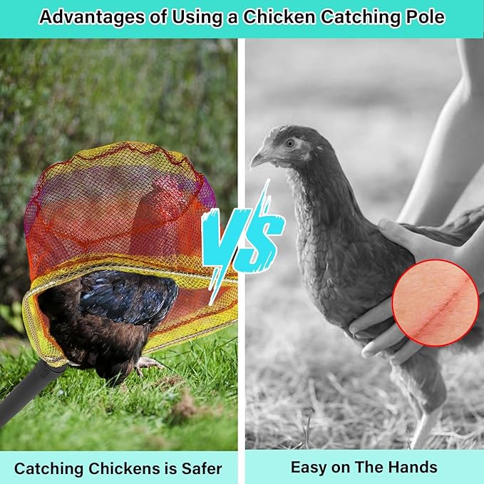 Chicken Catching Net Telescopic,36 to 63 in Chicken Catcher Leg Hook Grabber Tool with Extension Pole Long Handle Animal Catcher Pole Heavy Duty Metal Tube Poultry Hook Fowl Catcher Sturdy
