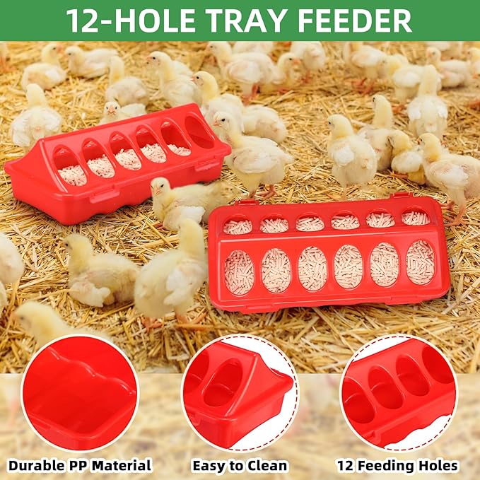 5 Pack Chick Brooder Starter Kit, 0.8 Gallon Heated Chicken Waterer F, 75w Adjustable Heat Lamp, Chick Perch and Flip Top Poultry Feeder for Winter Cold Weather Baby Chicken, Duck and Quail