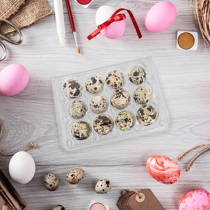 YOUEON 60 Pcs Clear Quail Egg Cartons, 12 Count Plastic Egg Trays, Small Egg Storage Holders with Lids, Stackable Bulk Egg Boxes for Quail, Pigeon, Pheasant, Display, Refrigerator Storage