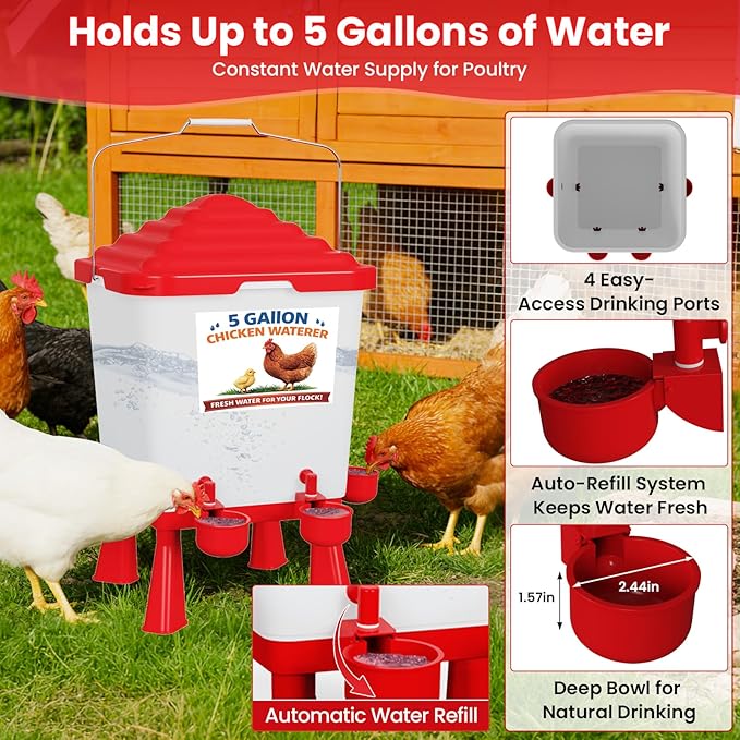 Chicken Feeder and Waterer Set, 5 Gallon Automatic Chicken Waterer with Cups, 40LB Large Chickens Feeders No Waste, Chicken Coop Accessories, Poultry Feeder & Chicken Watering System for Ducks, Quails