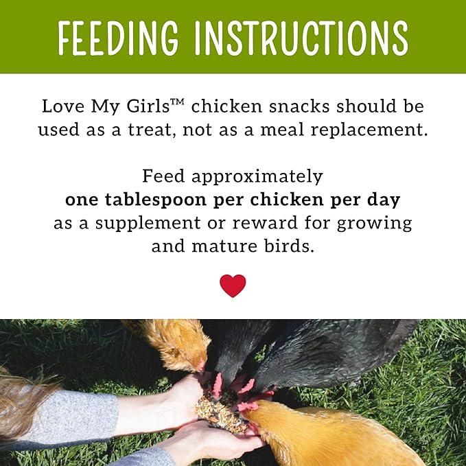 Love My Girls: Chicken Snacks - Fruit & Worms - 5lb Bag - Global Harvest, Gourmet Multi-Grain Treats, Corn-Free, Nutritious & Protein Rich Mealworms