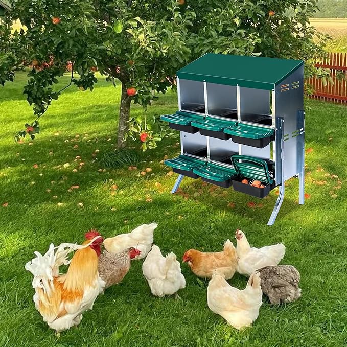 6 Compartment Metal Chicken Nesting Box, Automatic Roll-Out Egg Collection, Waterproof Galvanized Steel Laying Box with Perch & Wall Mount, for Hens Ducks Rabbits, Green