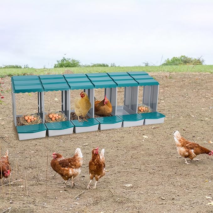 Chicken Nesting Box, 6 Compartments PP Nesting Box, Wall Mountable Nesting Boxes with Inclined Top, Drain Holes & Resting Platform for Chicken and Poultry to Collect Eggs