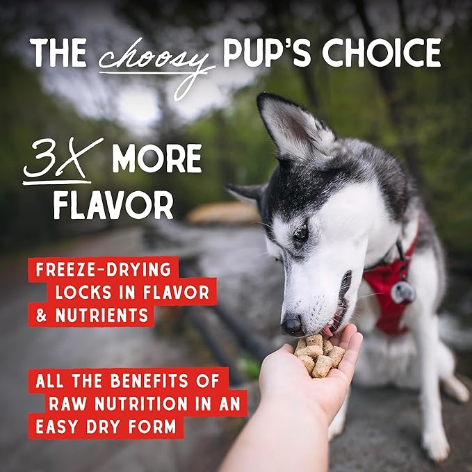 Stella & Chewy's Freeze-Dried Raw Beef Meal Mixers- Dog Food Topper and Mixer - Made with 95% Grass-Fed Beef,Organs & Bone - Perfect for Picky Eaters - Grain-Free - 1 oz,(Pack of 2)