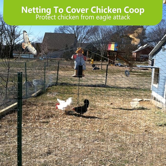 POYEE 50x50ft Bird Netting for Chicken Coop, 1 inch Mesh, Heavy Duty, Hawk Proof, Garden Protection, Fruit Tree Netting Against Squirrels Deer