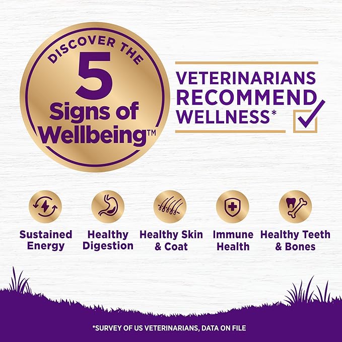 Wellness Complete Health Puppy Dry Dog Food, Wholesome Grains, Natural, Chicken, Oatmeal, & Salmon Recipe, (15-Pound Bag)