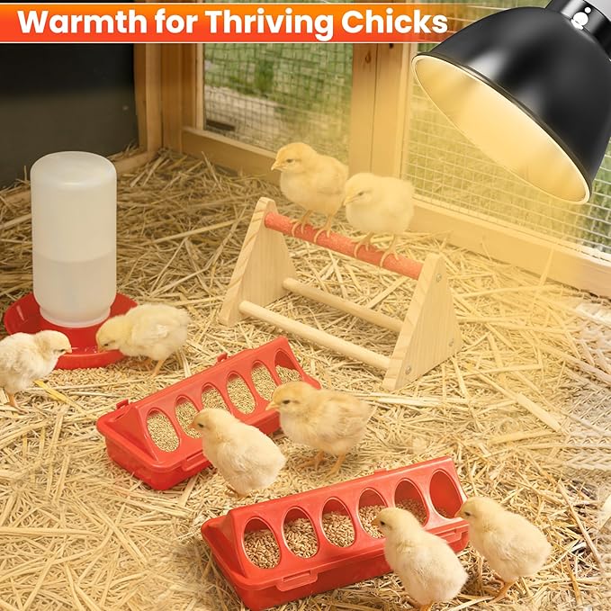 Chick Starter Kit, 2 Chick Feeders and 1.3L Automatic Waterer Set with 75W Adjustable Heat Lamp (2 Bulbs) and Stand Perch, Brooder/Coop Supplies for Baby Chicken, Duck, Quail
