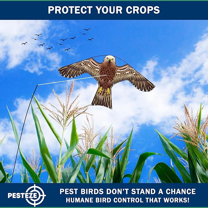 PESTEZE USA Hawk 47x27 Inch Kite with 13 Ft Flagpole. Provides Humane Bird Deterrence in Yards & Farms. Protects Vegetables, Fruits & Crops from Pest Birds & Critters