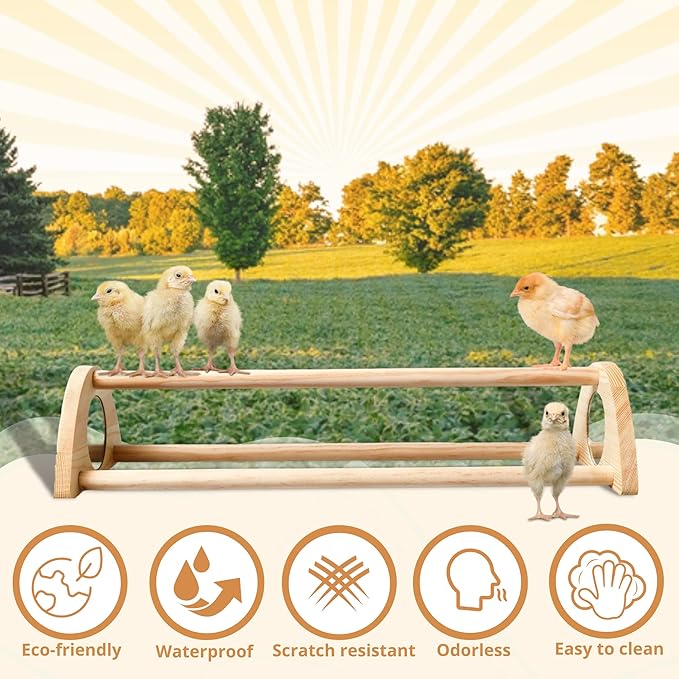 TonGass 16" Extra Long Chicken Perch - Freestanding Roosting Bar for Baby Chicks with Built-in Mirrors for Entertainment - Durable Polished Bamboo Roosting Bar - 15 3/4 x 6 5/8 x 3 1/2"