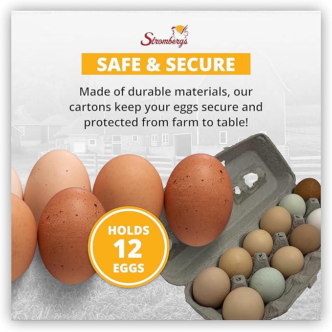 Stromberg's Grade A Large Printed Egg Cartons, Biodegradable and Eco-Friendly, Made From Recycled Materials, With Educational Prints for Safe Handling Instructions and Nutrition Facts, 125 Pack