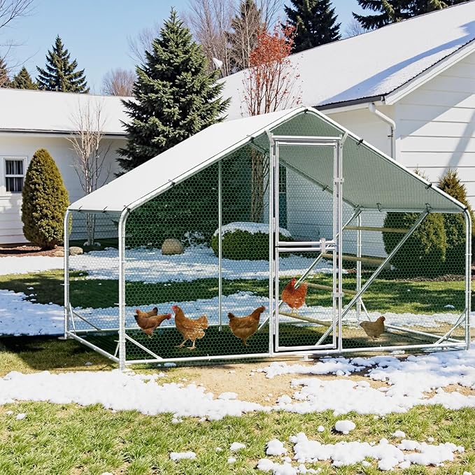 Large Metal Chicken Coop, 10x6.5x6.5FT Chicken Runs for Yard with Cover and Roosting Perch, Split Doors Walk in Chicken Coop
