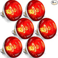 250W R40 Red Heat Lamp Bulbs, 8000 Hours Rated, Infrared Flood Light, Brooder Heating Lamp for Chickens, Reptiles, Pets, Bathroom, E26 Base - 6 Pack