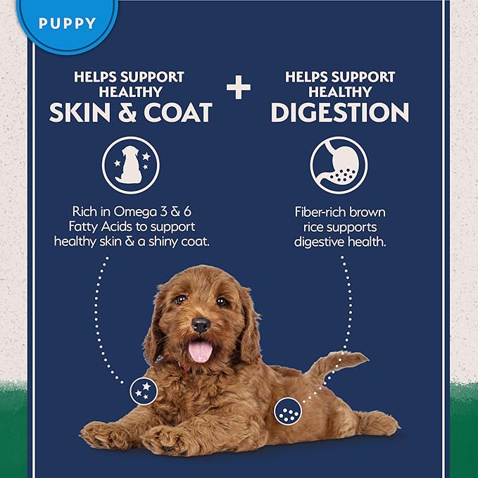 Natural Balance Limited Ingredient Puppy Dry Dog Food with Healthy Grains, Lamb & Brown Rice Recipe, 12 Pound (Pack of 1)