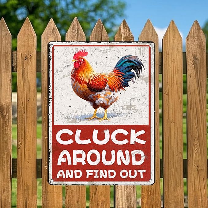 Cluck Around And Find Out Humorous Chicken Metal Tin Sign 12x16 Inch Farm Warning Poster Chicken Farm Tin Sign Home Kitchen Garden Cafe Office Shop Are Wall Decor