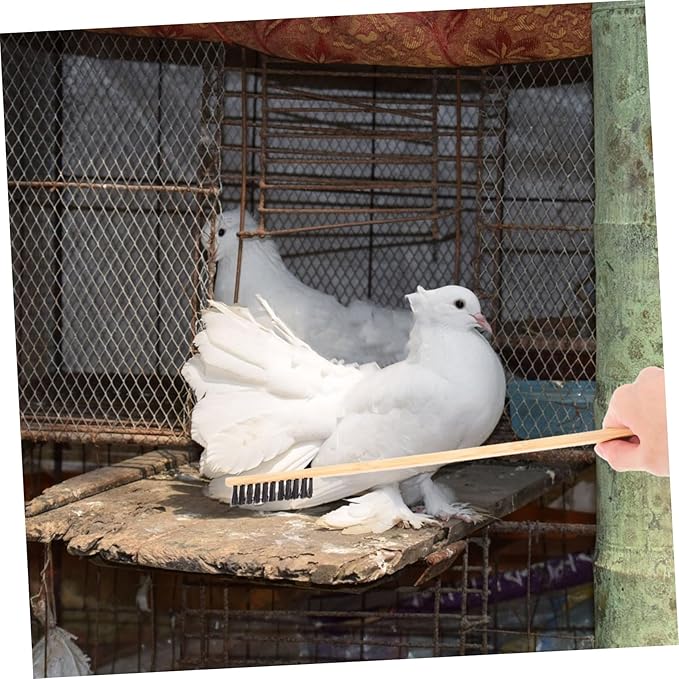 2pcs Efficient Small Bird Cage Cleaning Brush Shovel Set Pet Hair Cleaner Brush for Rabbit Cleaning Supplies Chicken Coop Cleaner