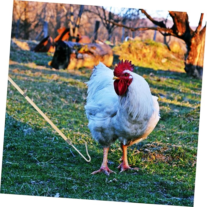 Happyyami Chicken Catching Net Chicken Catcher Hook Catcher Sturdy Animal-Friendly for Farms