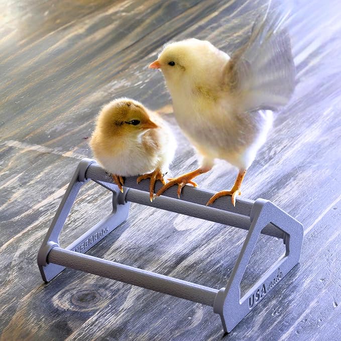Roosting Perch for Baby Chickens, Chick Brooder Coop Training Toy Accessory, Easy Click Together Assembly, Durable Plastic, Mix and Match Colors, USA Made (Mint Green, 3 Pack)