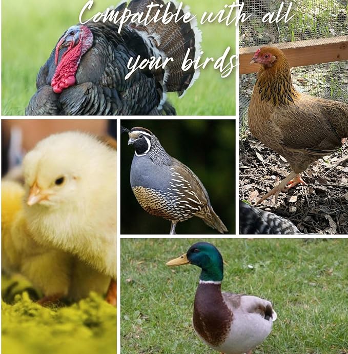 Chicken water cups by Hillside Homestead 8pk + Free Extras | Leak Resistant Automatic Chicken Waterer Cups for Baby chick supplies & Other Poultry | Fits 5 gallon buckets & DIY chicken water dispenser