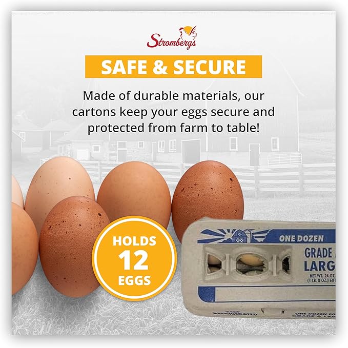 Stromberg's Grade A Large Printed Egg Cartons, Biodegradable and Eco-Friendly, Made From Recycled Materials, With Educational Prints for Safe Handling Instructions and Nutrition Facts, 250 Pack