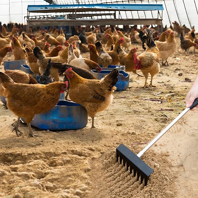 Garvee 3 in 1 Chicken Poop Scooper for Sand, Chicken Coop Scoop Cleaning Tool with Rake & Shovel, Adjustable Stainless Steel Handle, Easy Clean Poultry Litter Cleaning Tool