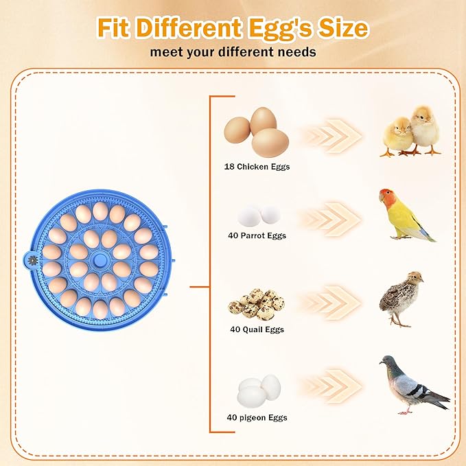 Egg Incubator with Automatic Egg Turning and Humidity Control, 26 Eggs Incubators for Hatching Eggs Chicken Quail Ducks Goose Parrot for Home Lab Farm Classroom