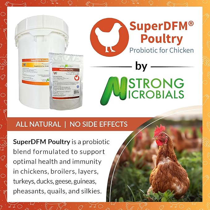 SuperDFM Poultry - All-Natural Probiotics for Chickens, Ducks, Quails & More - Poultry Supplements for Digestive & Immune Support - Makes 120 Gallons - 4.7oz (135g)