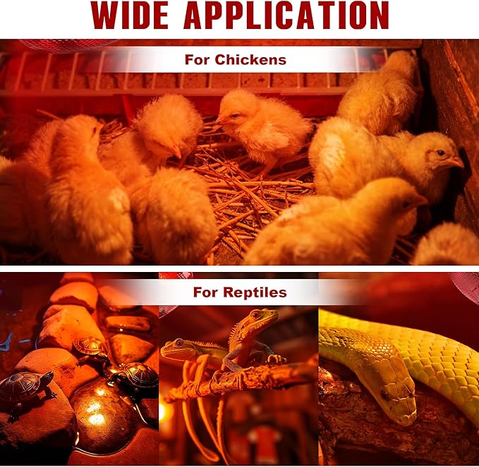 Heat Lamp for Chickens,150W Red Heat Lamp Infrared Light Bulb for Chicks,Chicken Coop