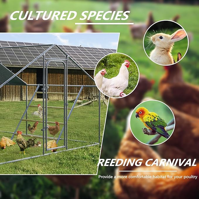 Chicken Coop Roosting Perch,Perfect for Backyard Poultry,Chicken Perch Essentials,Easy to Assemble&Clean,Farm Chicken Toys (56'' H x 41'' W)-2 pcs