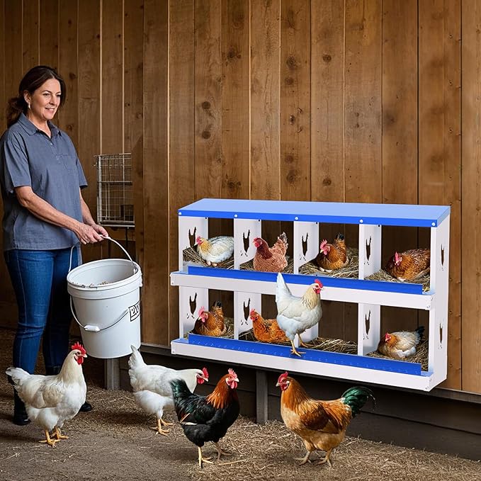 8-Hole Galvanized Chicken Nesting Box, Roll Away Egg Collection, Rustproof Hen Laying Boxes with Legs, Ventilated & Easy Install, Premium Poultry Nest for Chicken Coop/Duck House + Fake Training Eggs