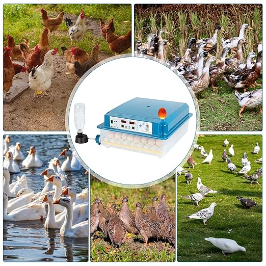 Incubators for Hatching Eggs,64 Eggs Smart Incubation Machine with Automatic Temperature and Humidity Control, Poultry Hatcher with Egg Turning for Chickens Ducks Goose Birds