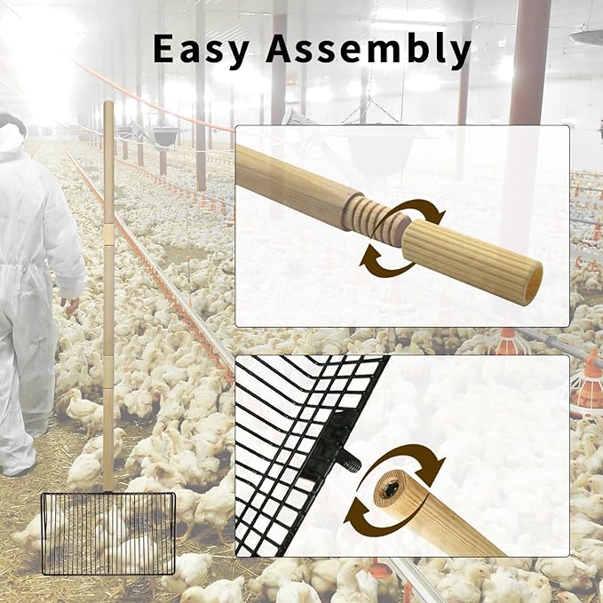 Chicken Poop Scooper - 3 in 1 Chicken Coop Litter Scoop with (20 to 42" Long) Wooden Handle, Stainless Steel Chicken Coop Cleaning Tool for Chicken Coop Accessories