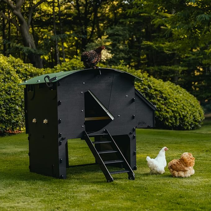 Plastic Chicken Coop 25yr Lifespan - Large Chicken Coop for 8 Chickens Or 15 Bantams | 2 Rounded Perches for Chickens & Hens to Roost | Raised Hen House for Poultry with 2 Nesting Boxes & Ramp