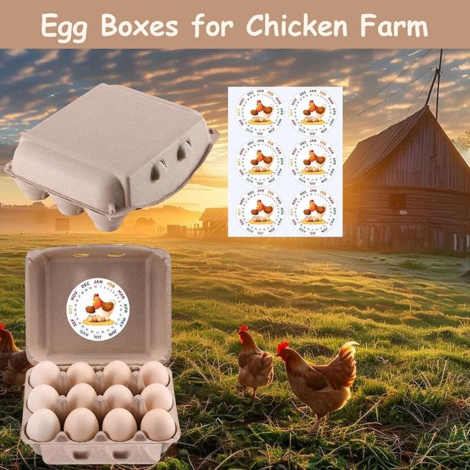 100 Pcs Vintage Egg Cartons with Labels, Square Dozen Egg Basket Blank Natural Paper Pulp, Classical 3x4 Style Holds Up to One Twelve 12 Count Chicken Eggs, Sturdy Eggs Box with Stickers