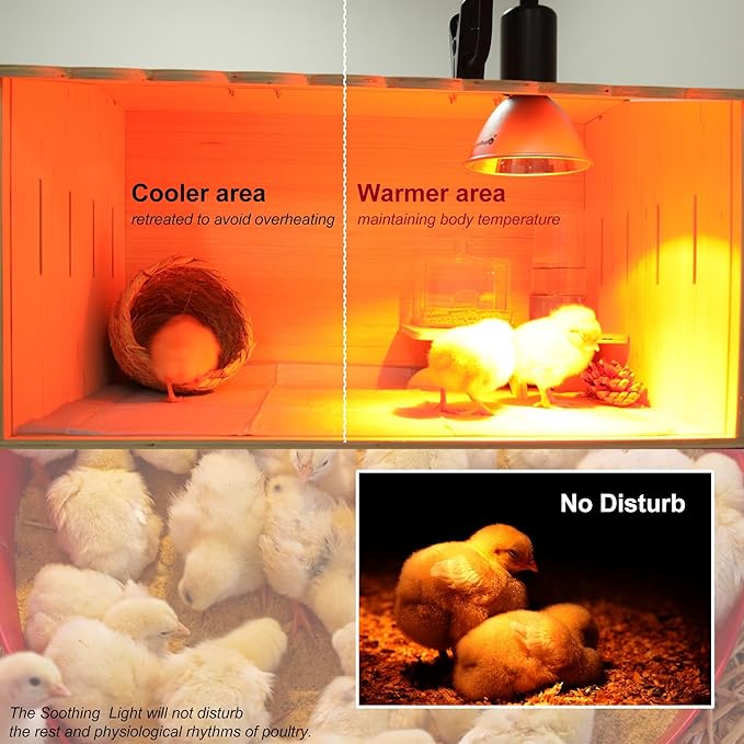 Heat Lamp for Chickens Coop Tiny Chick Brooder, Infrared Flood Light Red Bulbs Replaceable E26 Base 50 Watt Chick Heater for Reptile Pets Duckling Poultry Livestock