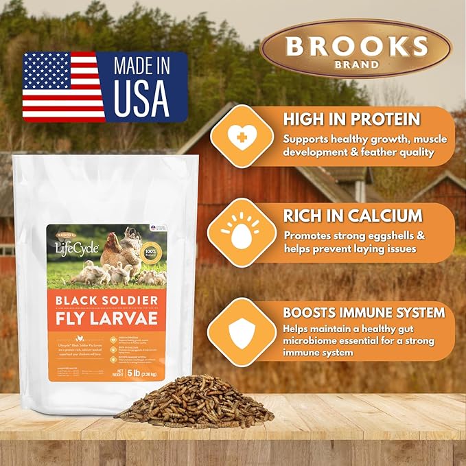 Black Soldier Fly Larvae Chicken Treats, Mealworms Substitute, Grubs for Chickens, High Calcium for Laying Hens, Made in USA (5 lbs)